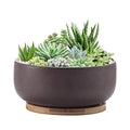 8 Inch Terracotta Clay Planter Pot with Bamboo Tray F51498