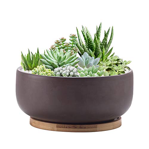 8 Inch Terracotta Clay Planter Pot with Bamboo Tray F51498