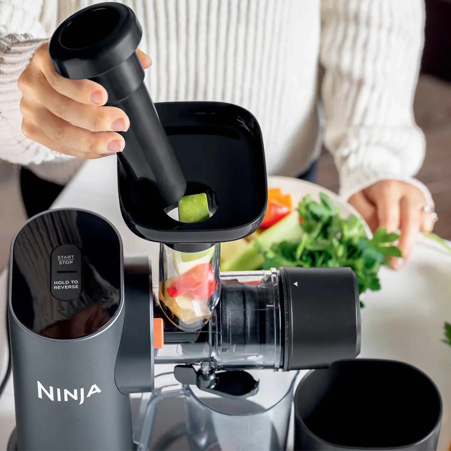 Cold Press Juicer I518656