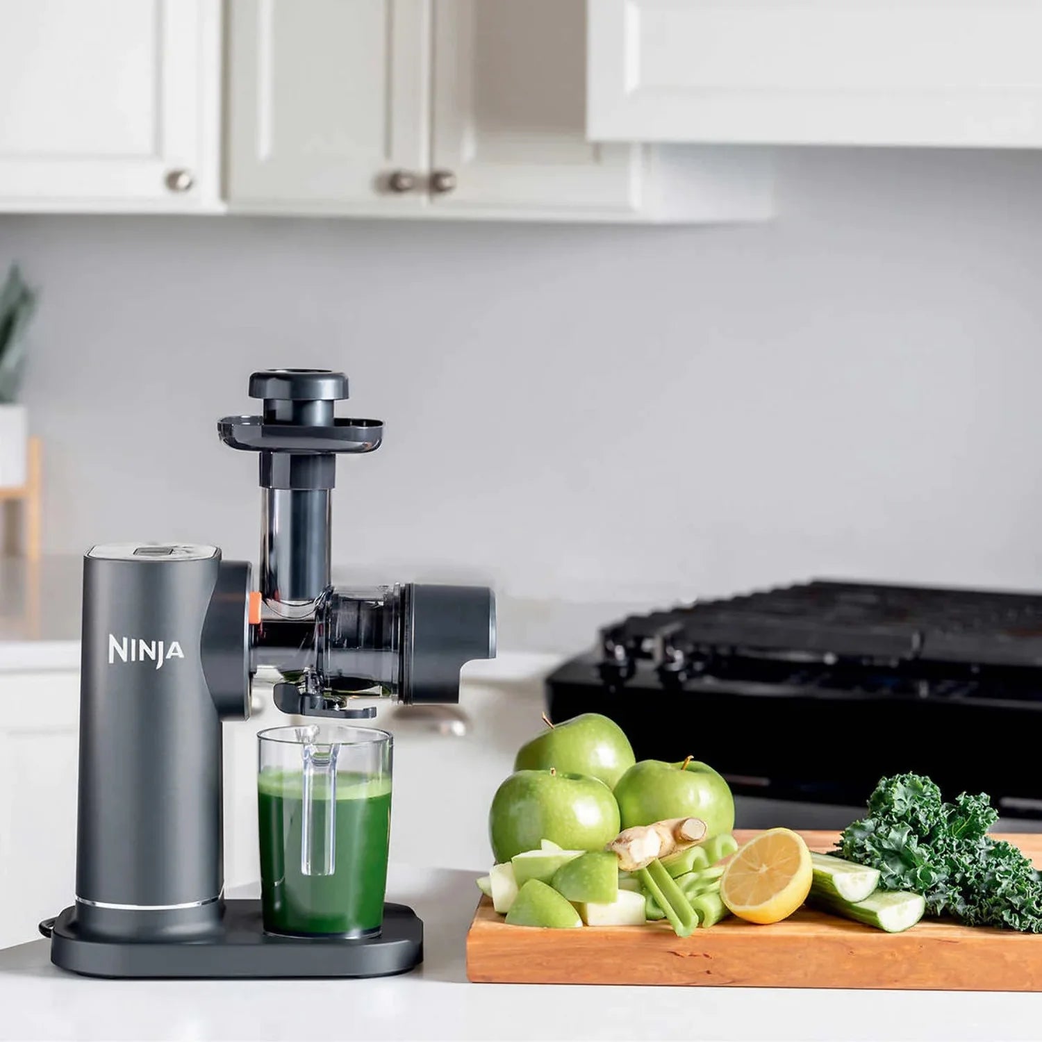 Cold Press Juicer I518656