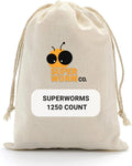 Medium 1"-1.5"+ (1250ct) Superworms D61790