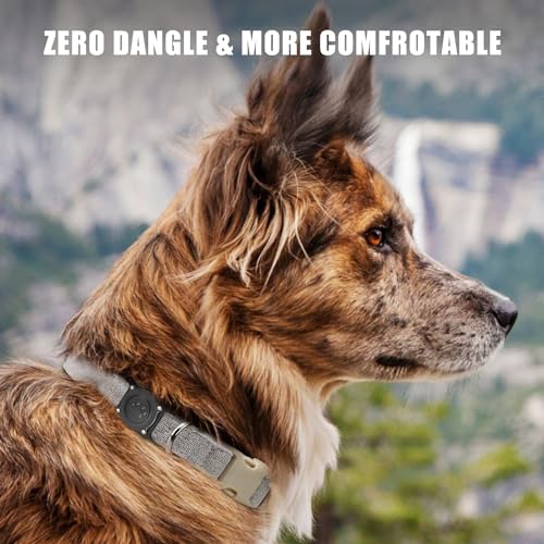 IP68 Waterproof Hard PC AirTag Holder for Dog & Cat Collar (1 Pack) A664006