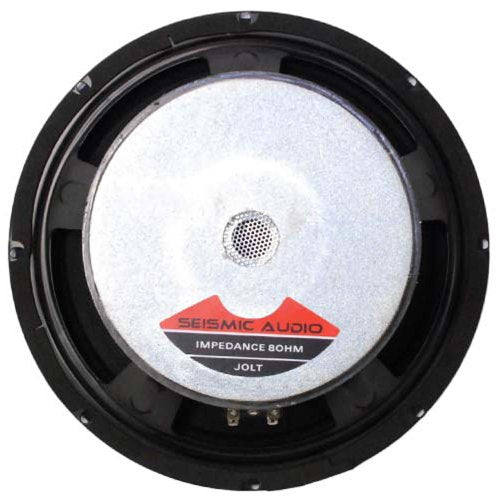 10" Bass Guitar Woofer Speaker Driver P603018