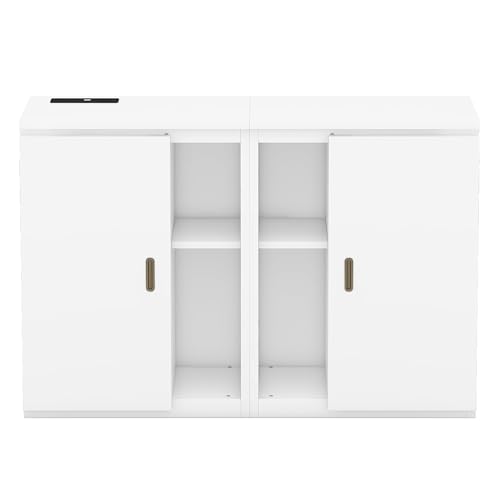 Queen Size Solid Wood Murphy Bed with USB Ports O411375