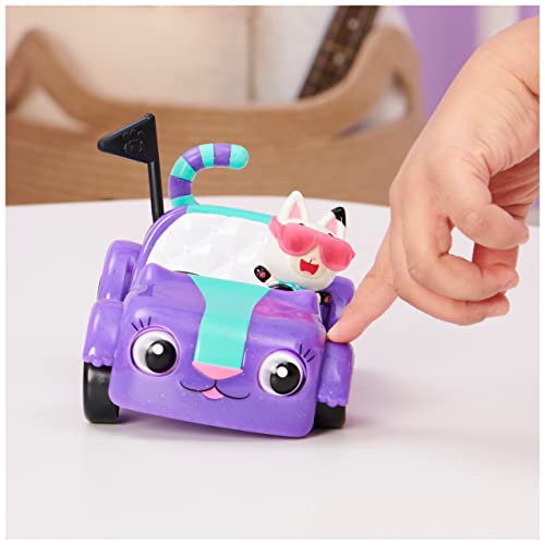 Carlita Toy Car with Pandy Paws Collectible Figure and 2 Accessories N28411