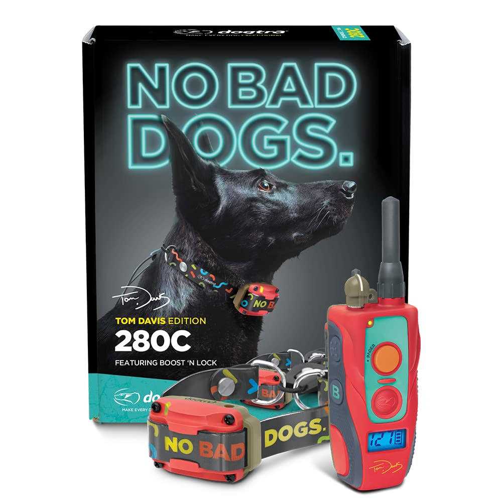 Waterproof Remote Dog Training E-Collar X702140