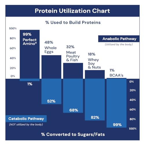 PerfectAmino Powder Mixed Berry 120 Servings 8 Essential Amino Acids Supplement Q56951