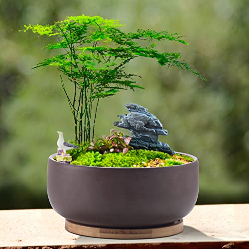 8 Inch Terracotta Clay Planter Pot with Bamboo Tray F51498