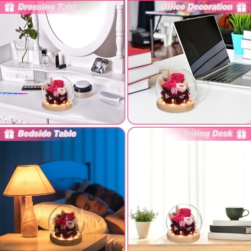 Preserved Real Rose in Glass Dome with LED Light U264