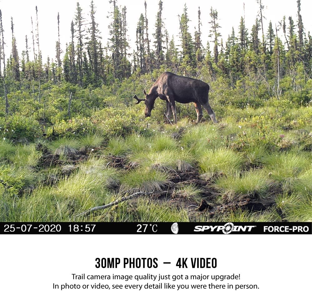 Trail Camera (30MP) with 16 GB SD Card, Card Reader, and Steel Reinforced Strap U6606