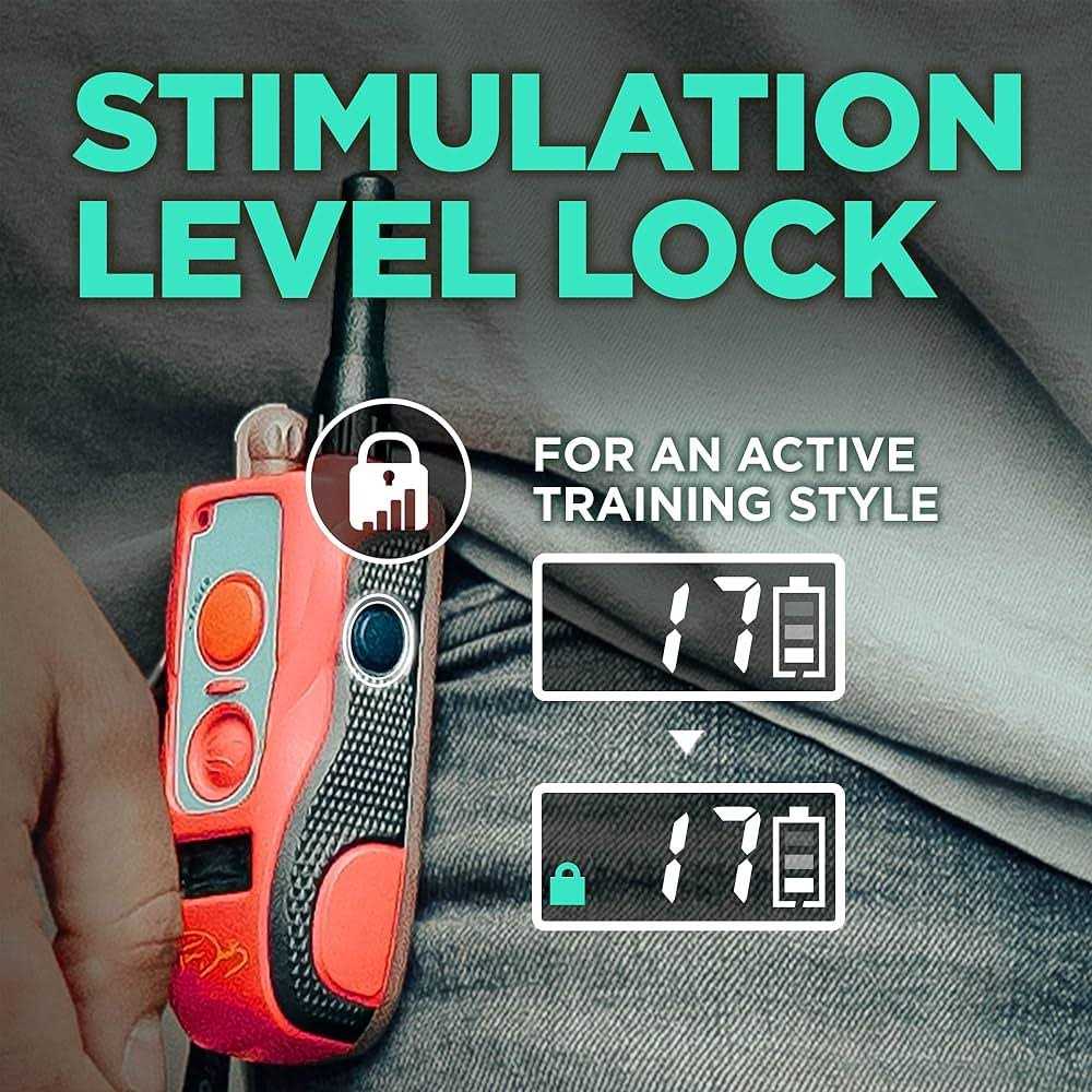 Waterproof Remote Dog Training E-Collar X702140