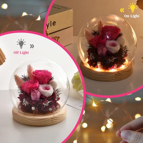 Preserved Real Rose in Glass Dome with LED Light U264