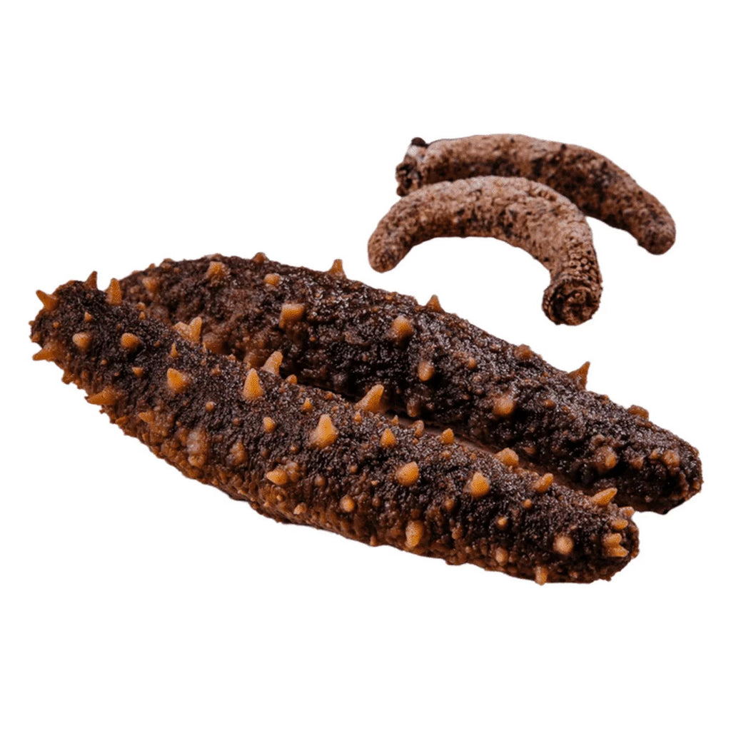 Dried Wild Caught Sea Cucumber Medium Size 5-7 pieces 4oz R2351