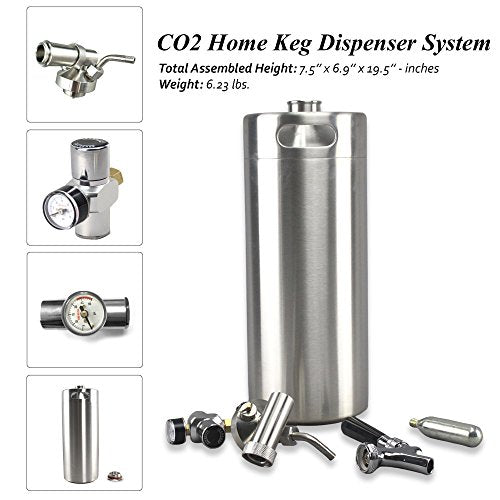 Stainless Steel Mini Keg Dispenser Portable Kegerator Kit (128oz) U323