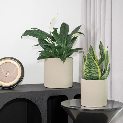 Gray 5 Inch Cement Plant Pots with Drainage Hole Z63971
