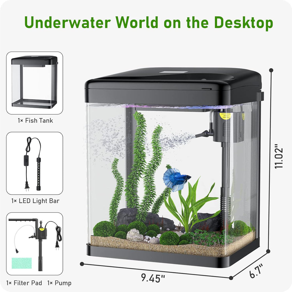 2 Gallon Glass Fish Tank with Filter Light E62363