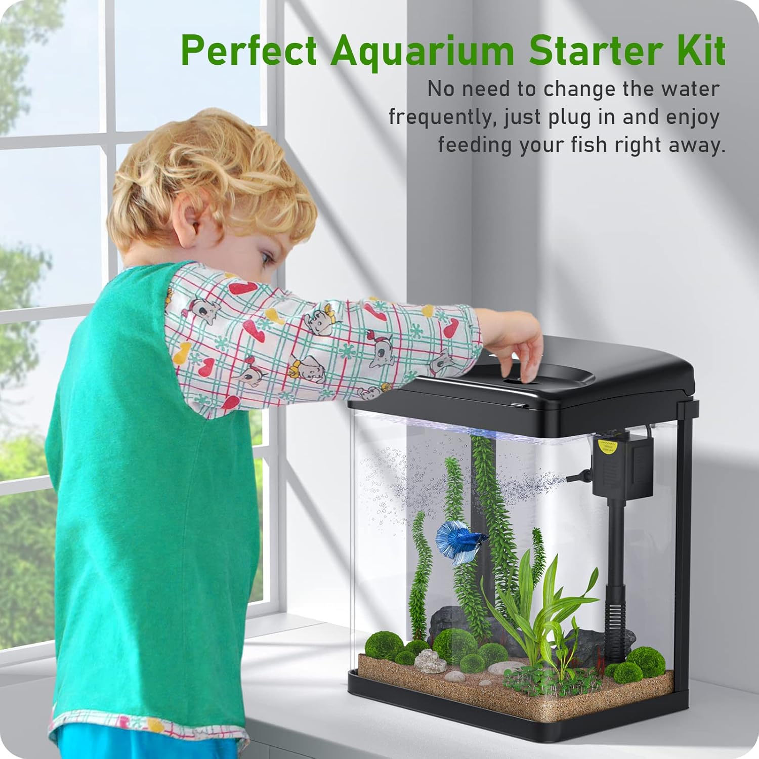 2 Gallon Glass Fish Tank with Filter Light E62363