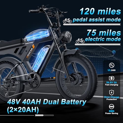 Electric Bike 20" Fat Tire Ebike 48V 20Ah Battery Hydraulic Disc Brake T301
