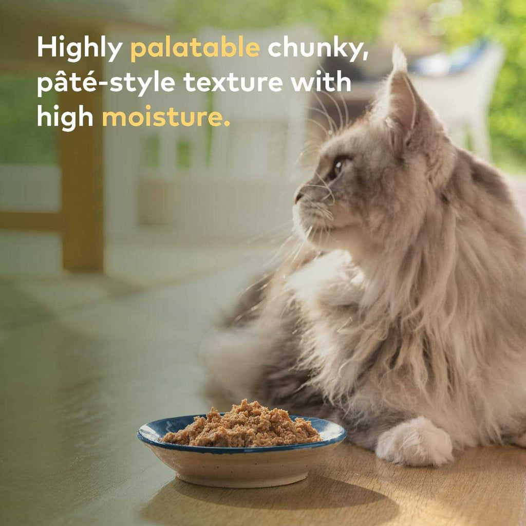 Canned Cat Food Lamb H348