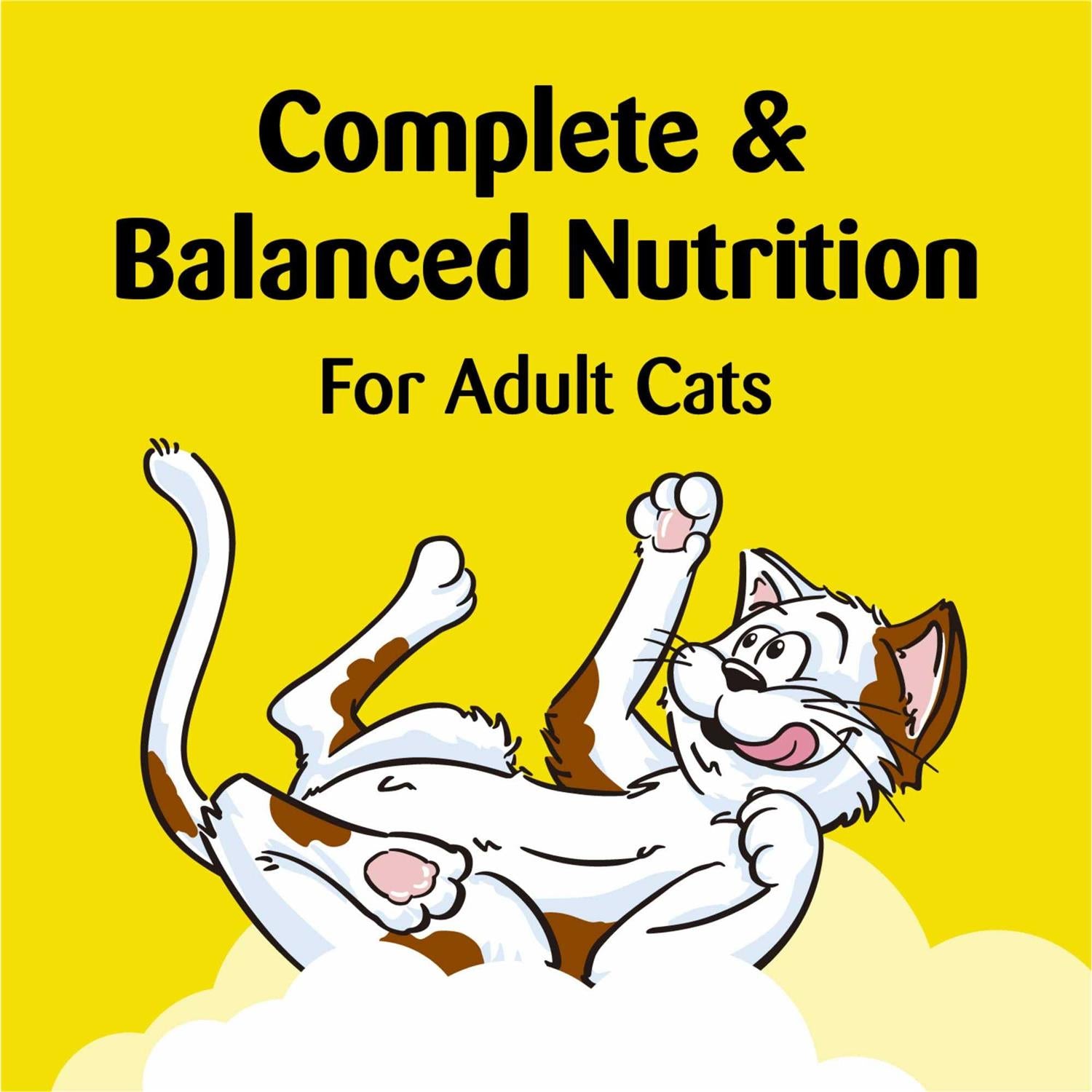 Crunchy Cat Treats N546