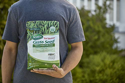 Tall Fescue Grass Seed Mix with Fertilizer and Soil Improver, 5.6 lbs. H867