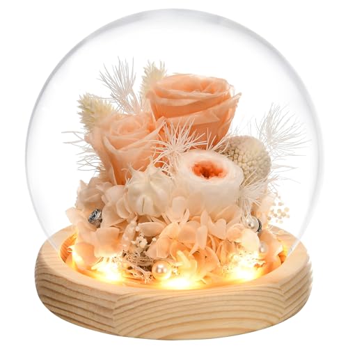 Preserved Real Rose in Glass Dome with LED Light U264