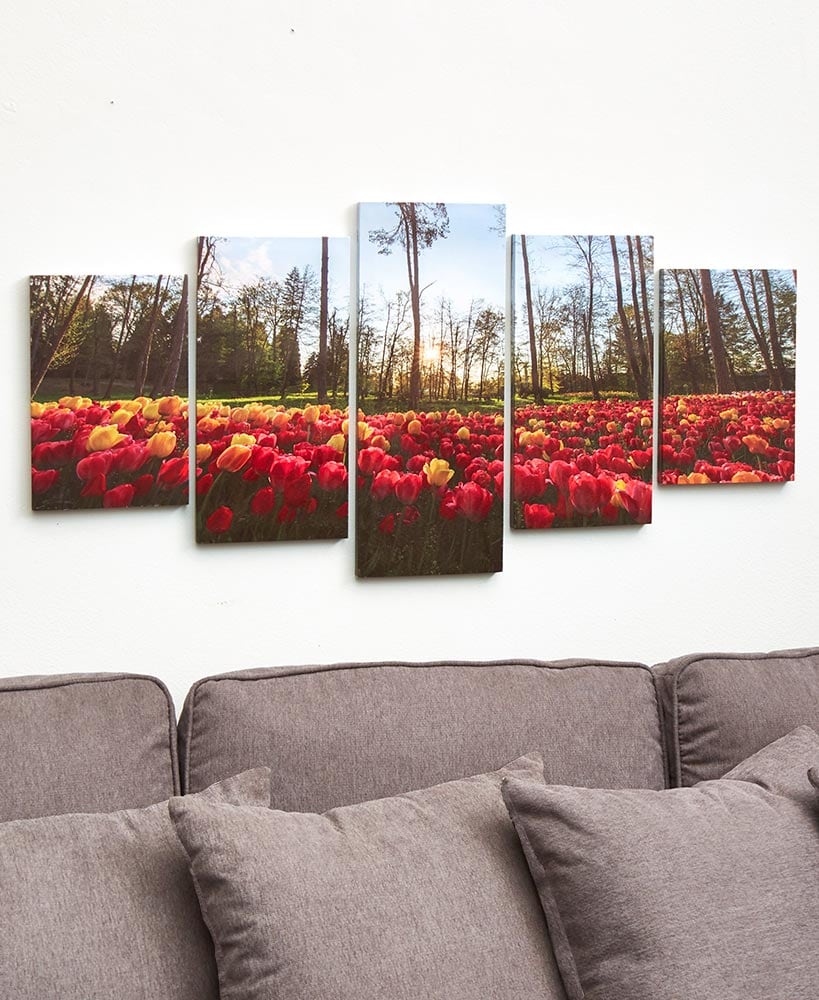 5-Pc. Canvas Wall Art Set