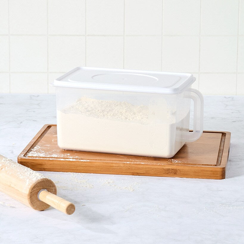Large Food Storage Container with Lid and Handle D45166
