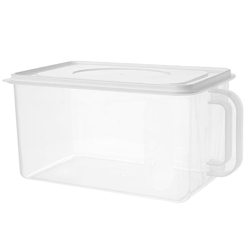 Large Food Storage Container with Lid and Handle D45166