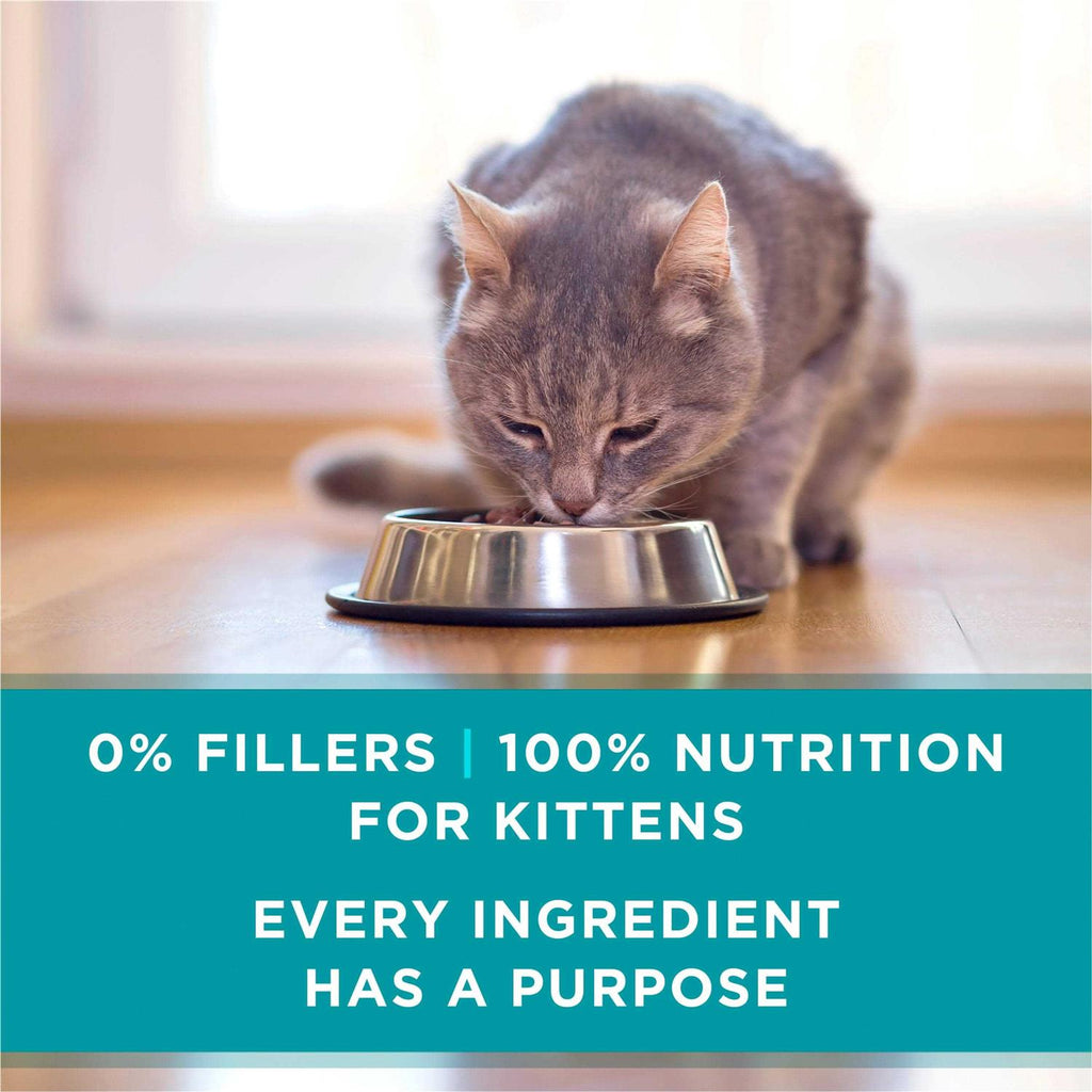 Grain Free Chicken & Salmon Pate Wet Cat Food L203420