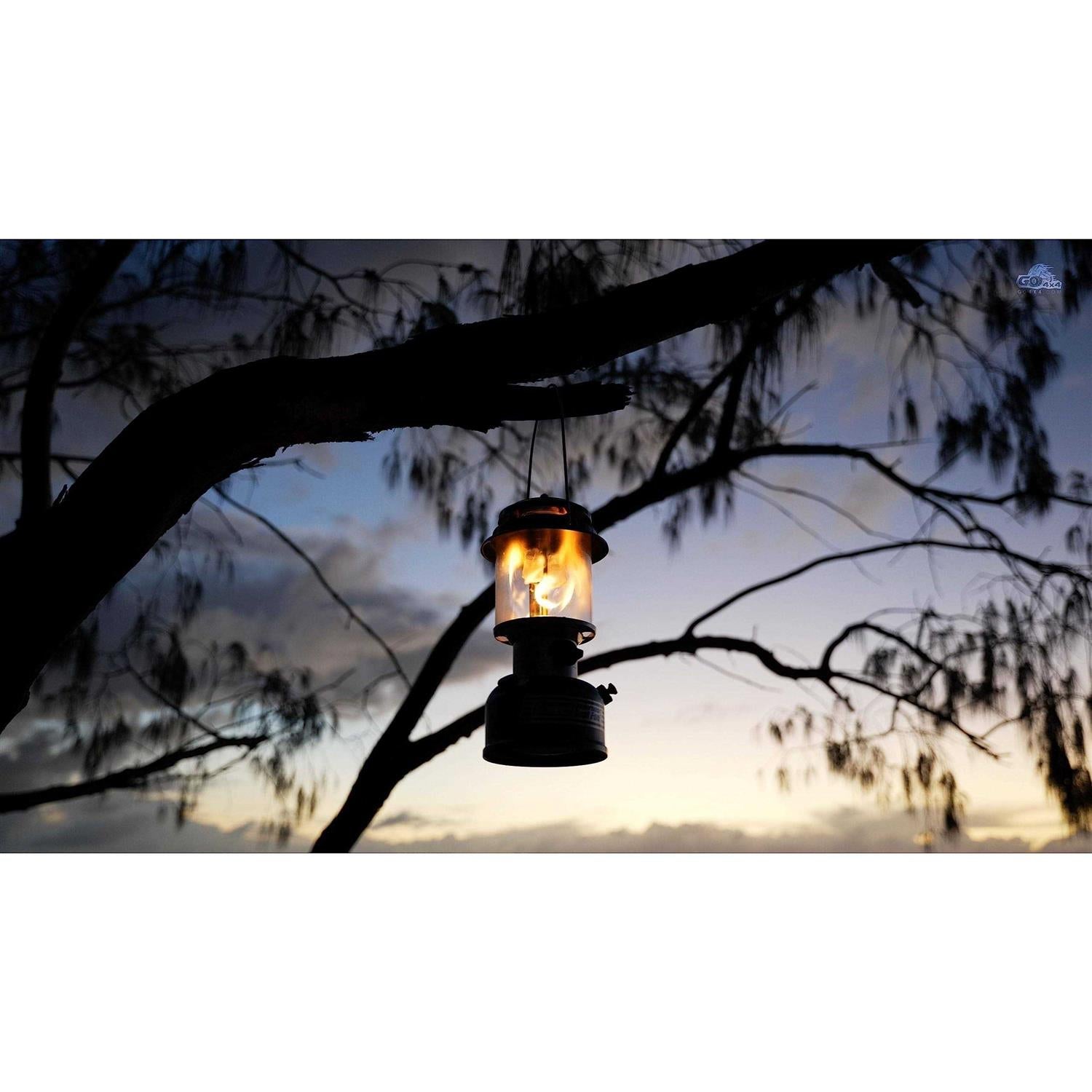 Dual Fuel Lantern T48599