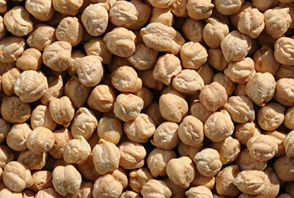 10 lbs All Natural Non-GMO Garbanzo Beans U8446