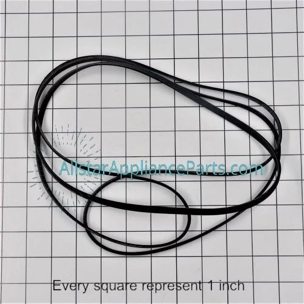 Dryer Drum Belt F80942
