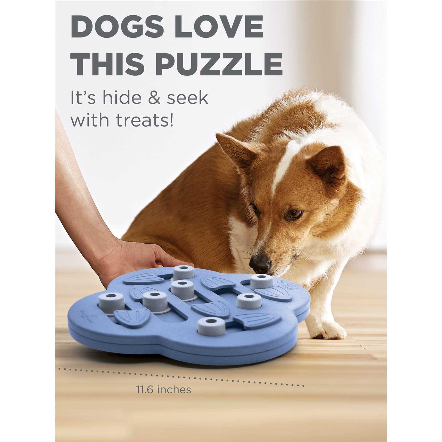 Hide N Slide Puzzle Dog Toy N313970