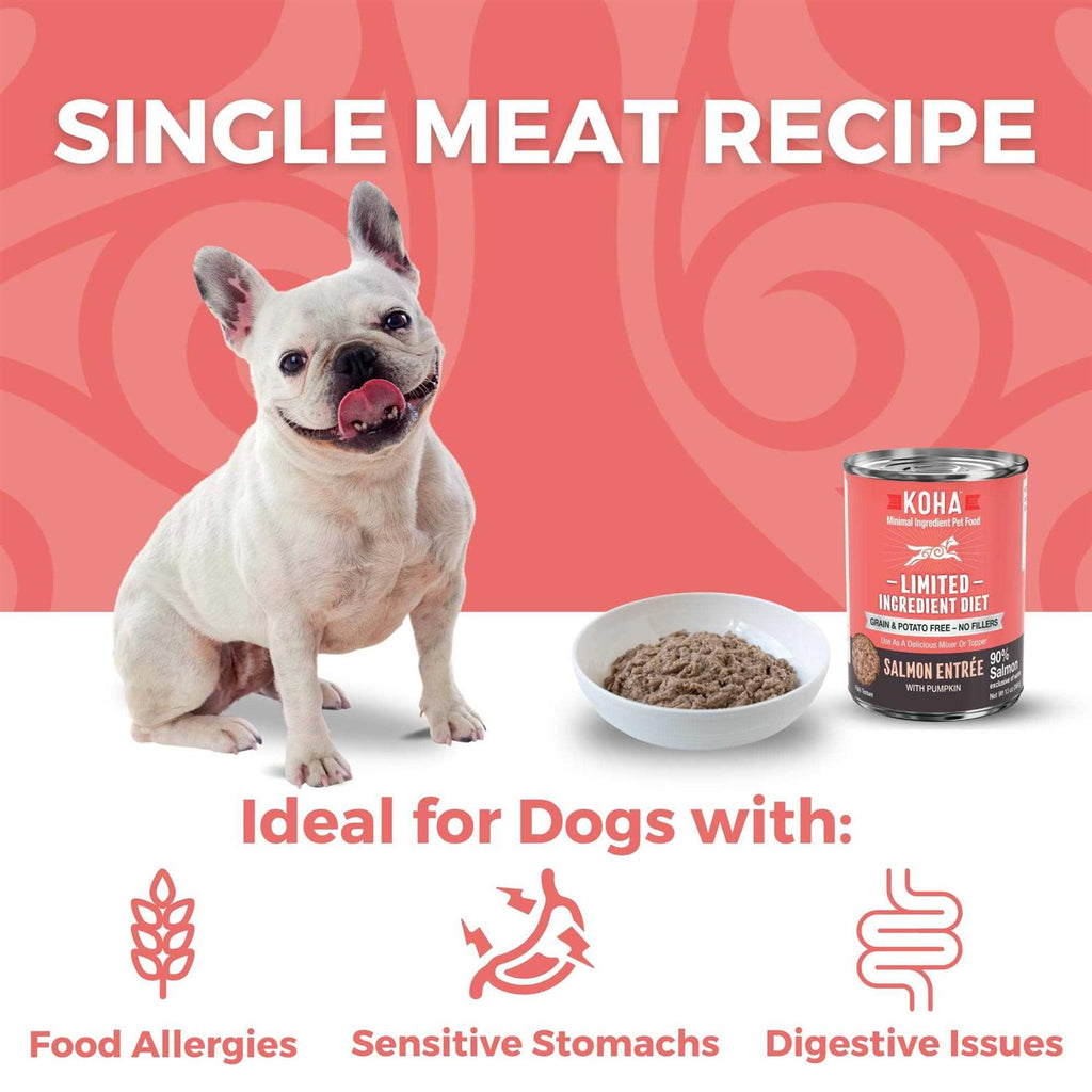 Grain & Potato Free Limited Ingredient Diet Salmon Entree with Pumpkin Canned Dog Food V1874