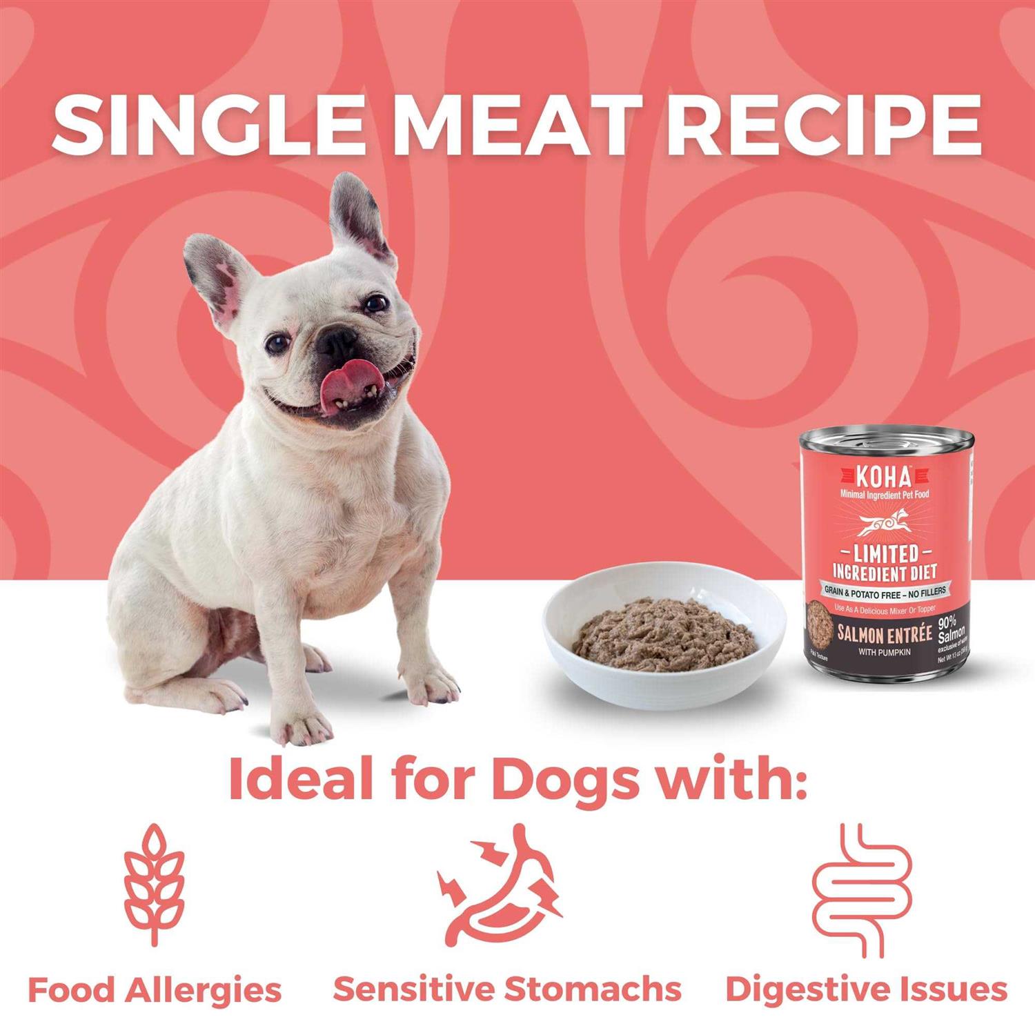 Grain & Potato Free Limited Ingredient Diet Salmon Entree with Pumpkin Canned Dog Food V1874