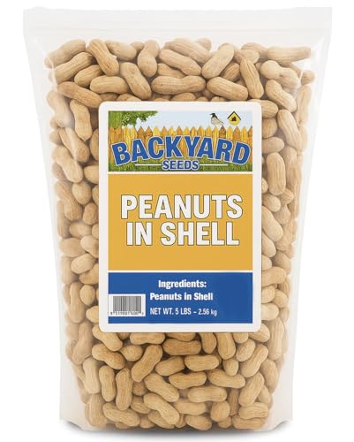 5 LB Bag Peanuts in Shell R97354