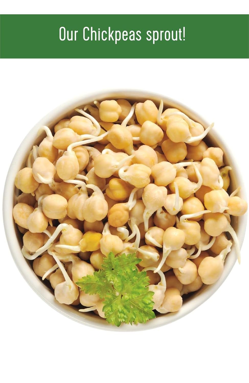25 lbs Bulk Dried Chickpeas Garbanzo Beans E6933