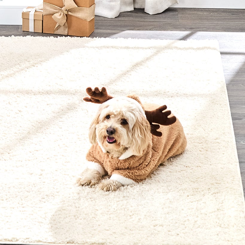 Pet Reindeer Plush Costume With Hood U803004