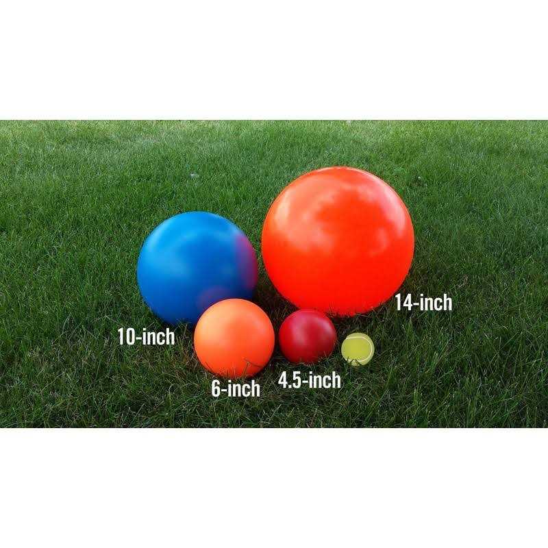6-in Dog Toy M407