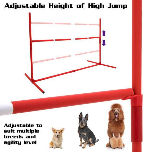 6 Piece Agility Kit E10485
