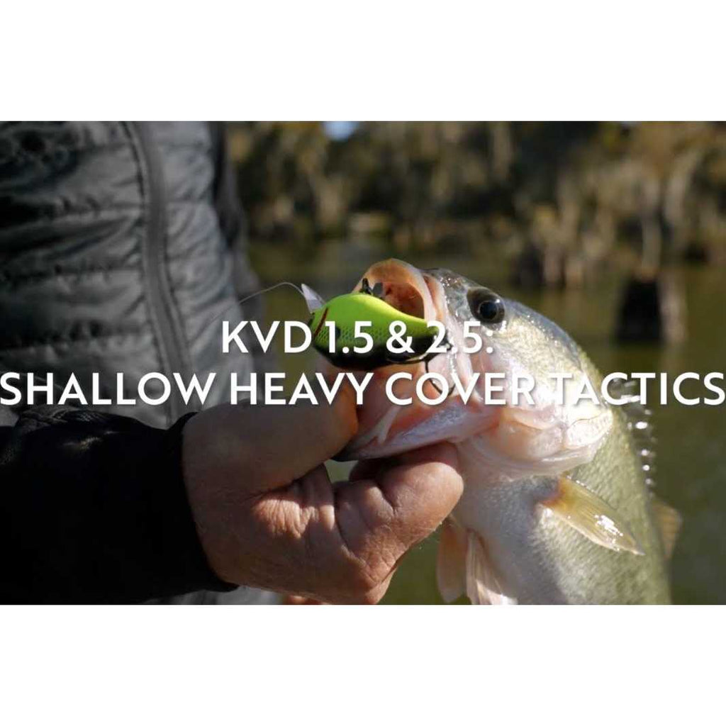 BB1 Pro Baitcast Reel V423101