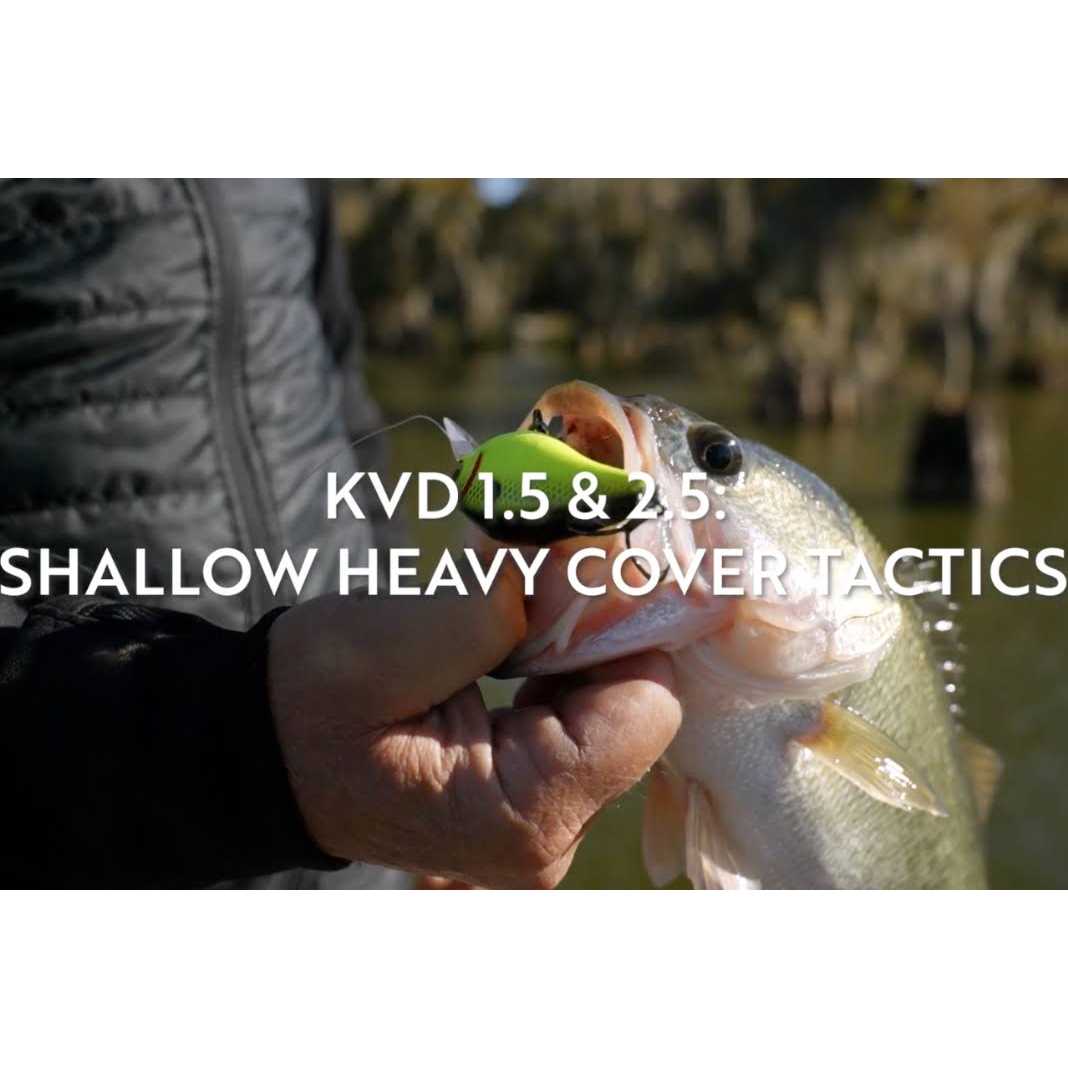 BB1 Pro Baitcast Reel V423101