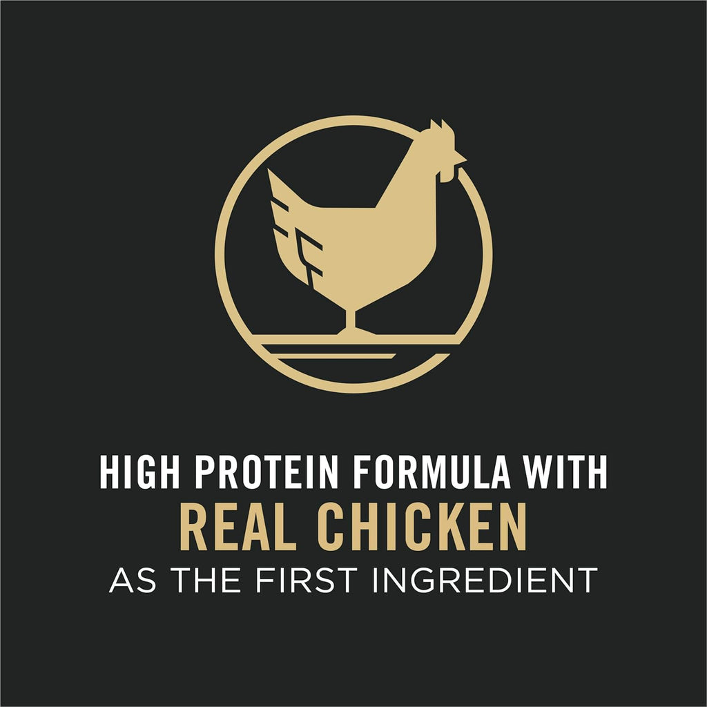 High Protein Chicken & Rice Dry Cat Food, Pack of 2 Z529