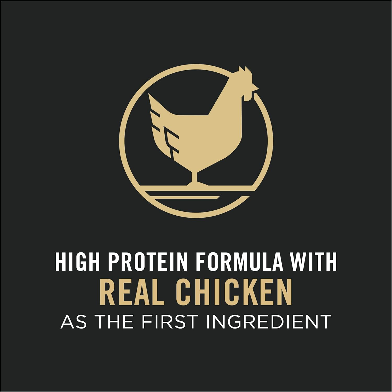 High Protein Chicken & Rice Dry Cat Food, Pack of 2 Z529
