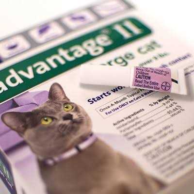 Advantage II Flea Treatment Cats G601