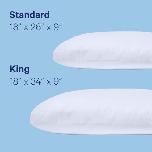 King White Two Pack Pillow D9857