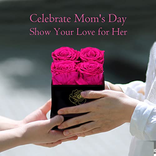 Square Black Box 4 Pink Preserved Roses M239806