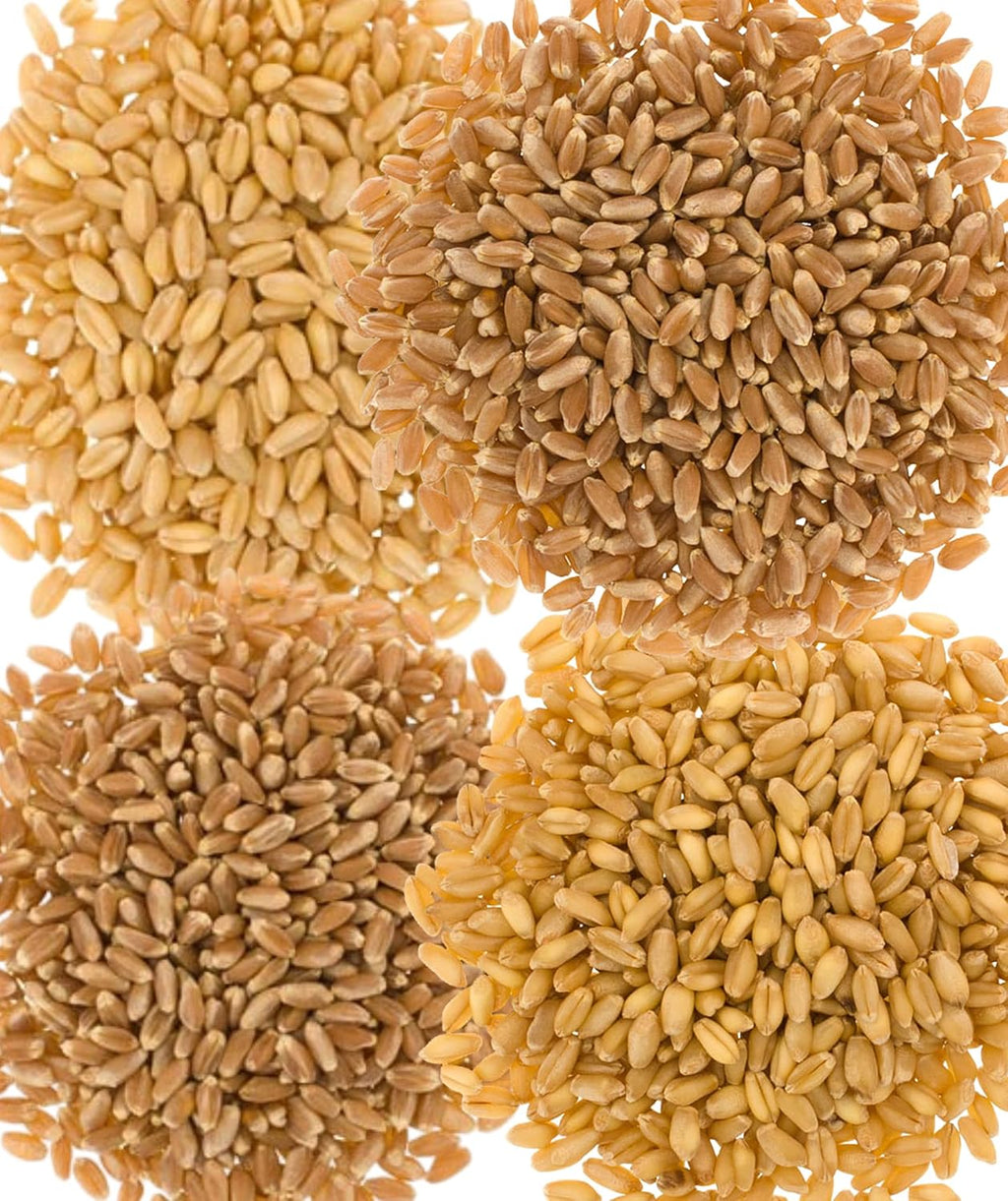 100 LBS Hard White Soft White Hard Red Winter Hard Red Spring Wheat Berries W704913