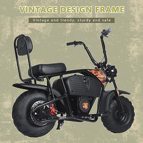 36V Battery Powered Mini Electric Bike for Kids K529